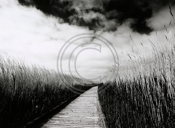 Salthouse Marshes