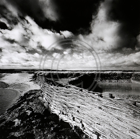 Overy Creek 5