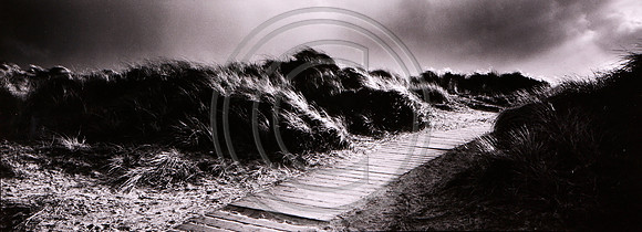 Holme Dunes1