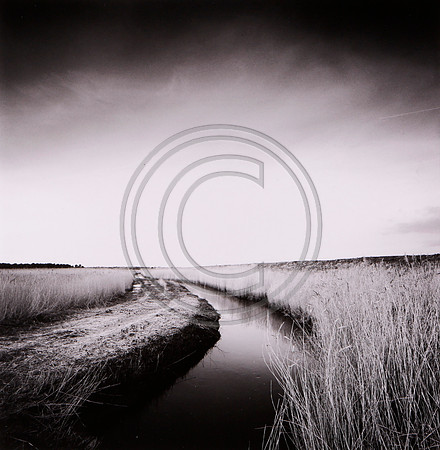 Broad Water Thornham