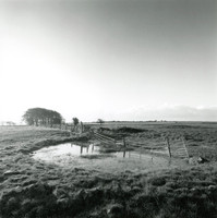 Mendips