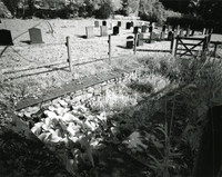 DP107.12 Draycott Churchyard MD