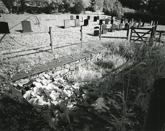 DP107.12 Draycott Churchyard MD