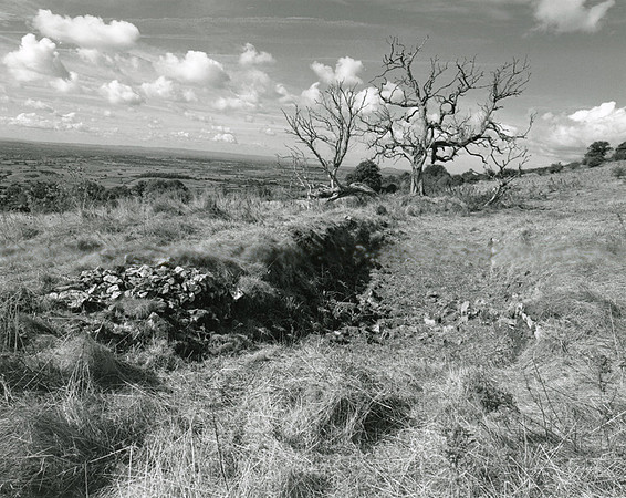 DP112.7 Lynchcombe NR MD