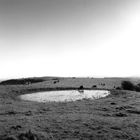 DP057.7 Ditchling Beacon SD