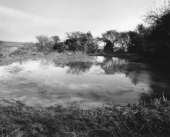 DP081.3 Pond Brow Lower SD