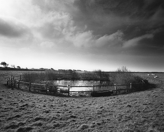 DP082.1 Above Telscombe SD