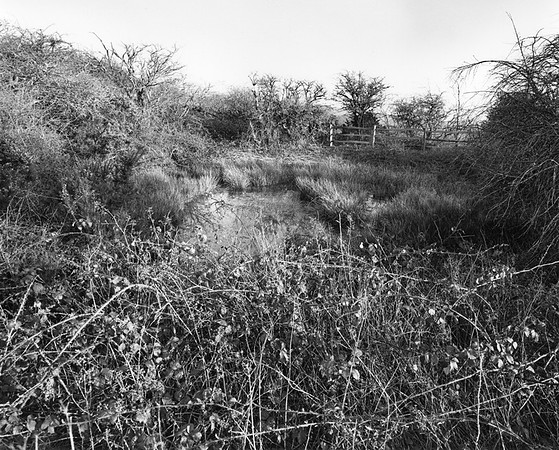 DP081.14 New Timber Hill Lower SD
