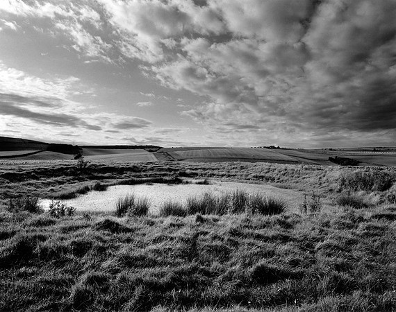 DP123.15 Coombehead Wood SD