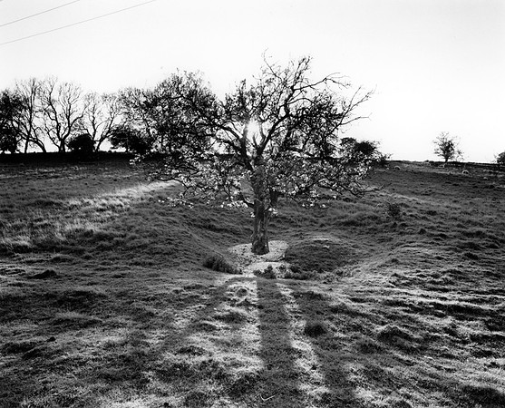 DP040.11 Cold Wold YW