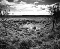 DP091.1 W Tithe Tor YW