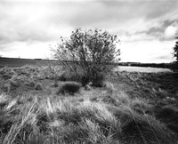 DP091.9 Below Huggate Head YW