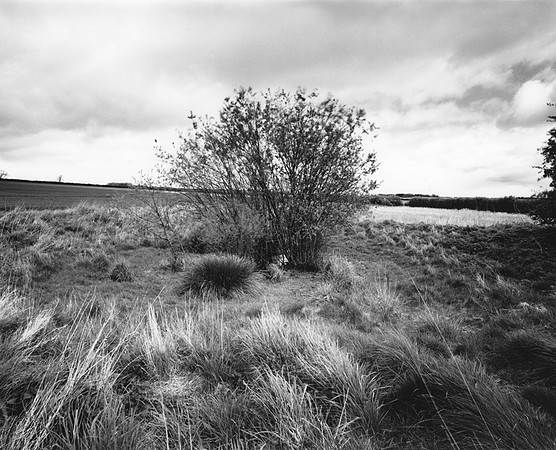 DP091.9 Below Huggate Head YW