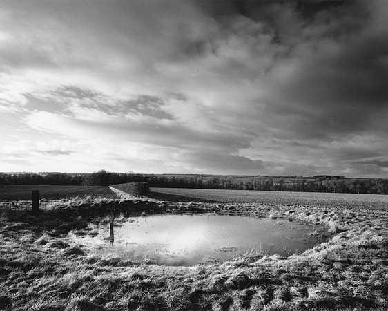 DP156.14 Rachel's Pond YW