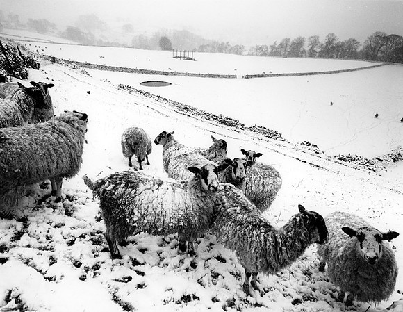 DP026.11 Above Beresford Dale PD