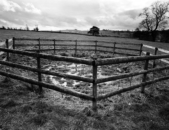 DP037.12 Long Lane PD