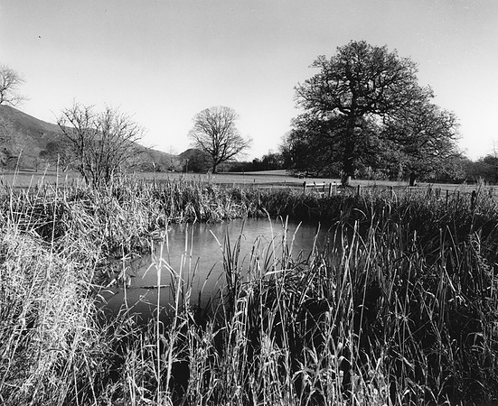 DP049.4 Ilam Park PD