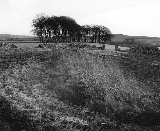 DP049.14 Above Rushley Wood PD