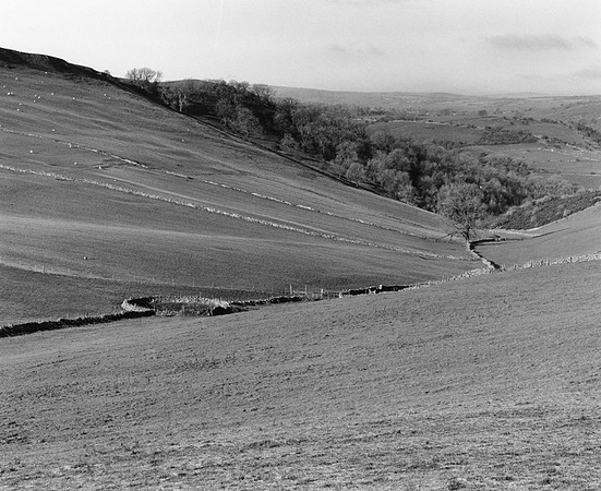 DP061.3 N. ThrowleyMoor Farm 1 PD