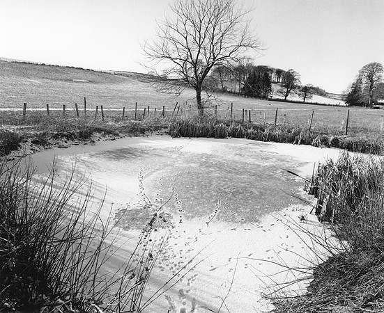 DP065.18 SE Cronkston Grange PD