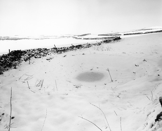 DP136.13 Stanshope pasture PD
