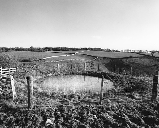 DP139.17 Above Hartington Dale PD