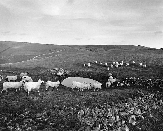 DP141.1 W of Long Dale PD