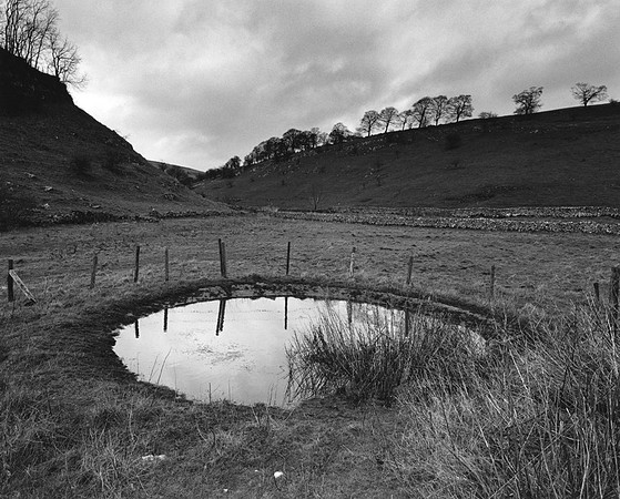 DP142.3 Long Dale Hartington Dale PD