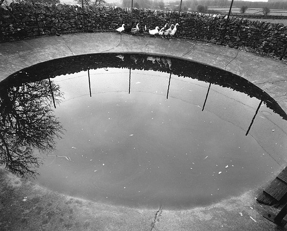 DP143.13 Harry's Pond W. Whitefield Lane PD