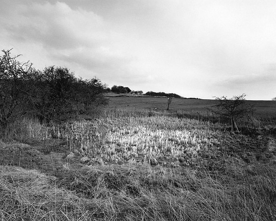 DP151.7 E. of Pasture lane PD