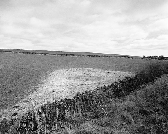 DP166.14 N. of Daisy Bank PD