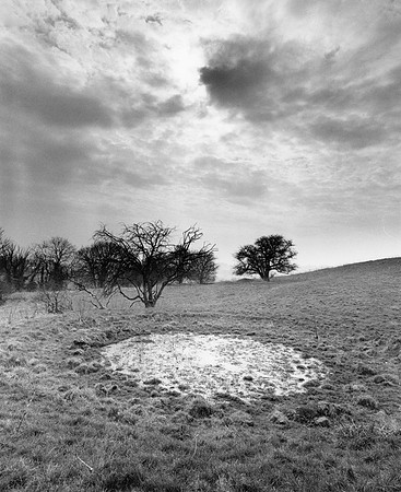 DP168.1 Rob's Pond 1 W. of Backhill Lane PD