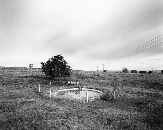 DP202.19 W of Wheal Lane PD