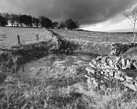 DP206.10 W of Pennine Bridleway PD