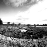 DP072.1 Hippenscombe Valley NWD