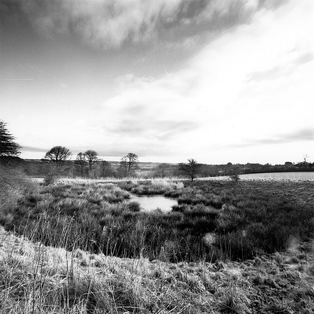 DP072.1 Hippenscombe Valley NWD