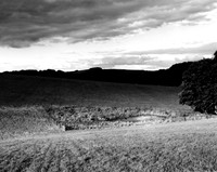 DP116.9 Two Acres Coppice NWD