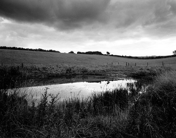 DP116.11 Two Acres Coppice NWD