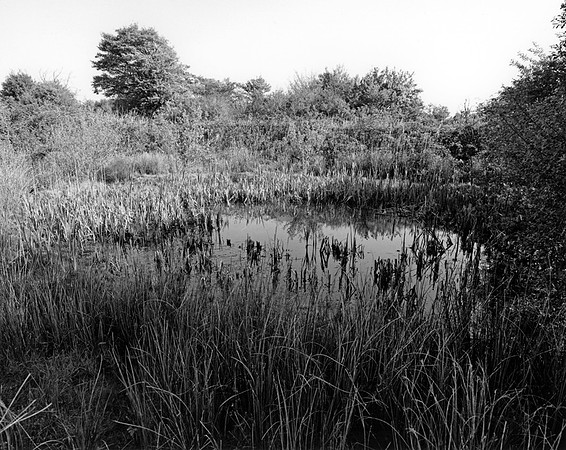 DP177.18 Fiona's Pond 2 NWD