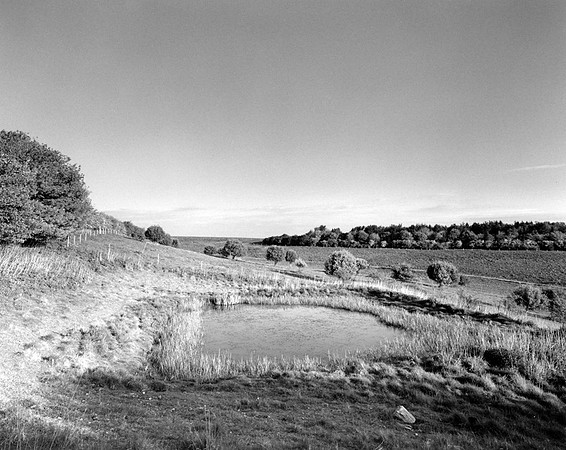 DP1779 Fiona's Pond 1 NWD