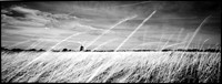 Burnham Overy