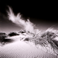 Sand Dunes No.1 Wells