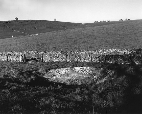DP235.4 N. Brook Bottom 1 PD