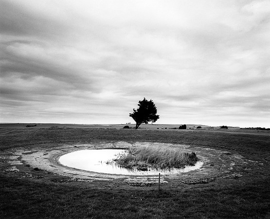 DP220.16 Eastbourne Downs Golf Club SD