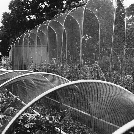 WCA010.9