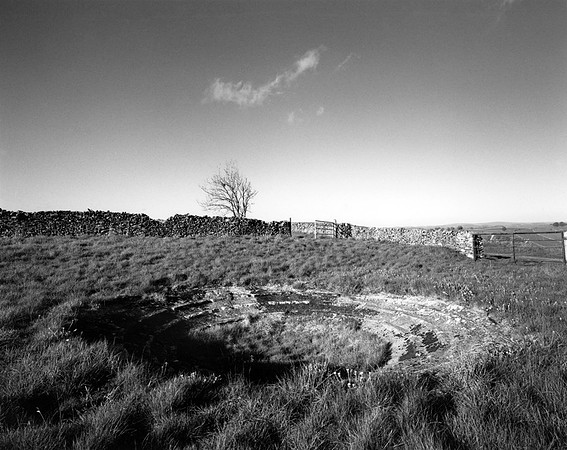 DP230.15 Litton Dale PD