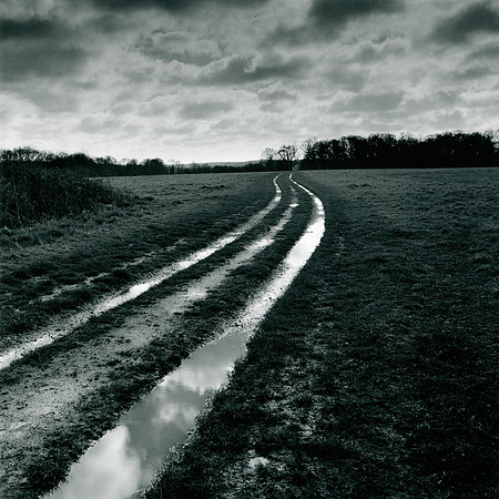 #XLI Sandleford