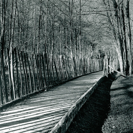 #XLII Chase Boardwalk
