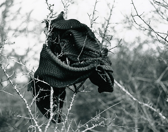#XXV Scarf