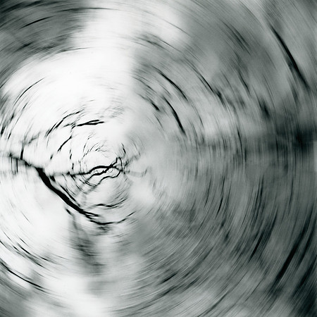 #XXX Transported by Wind
